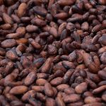 cocoa